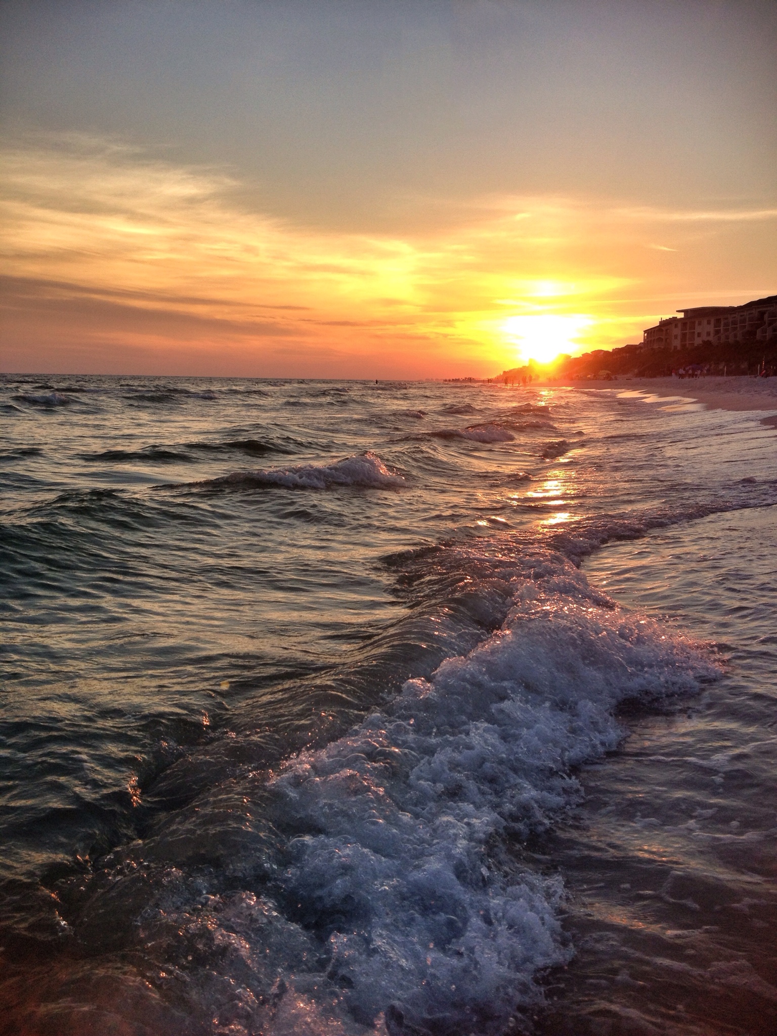 Mast Cell Beach Experiment